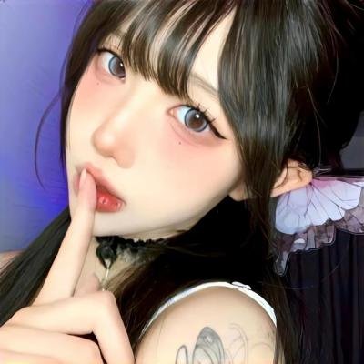 摄影师贝尔蒂与海豚零距离海报